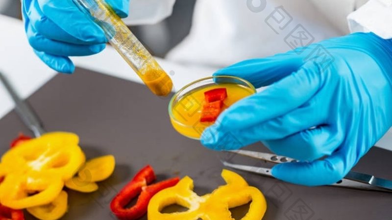 冷冻食品招商公司如何挑选？关键因素揭秘**
